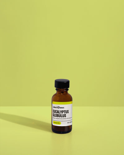 Eucalyptus Globulus Essential Oil